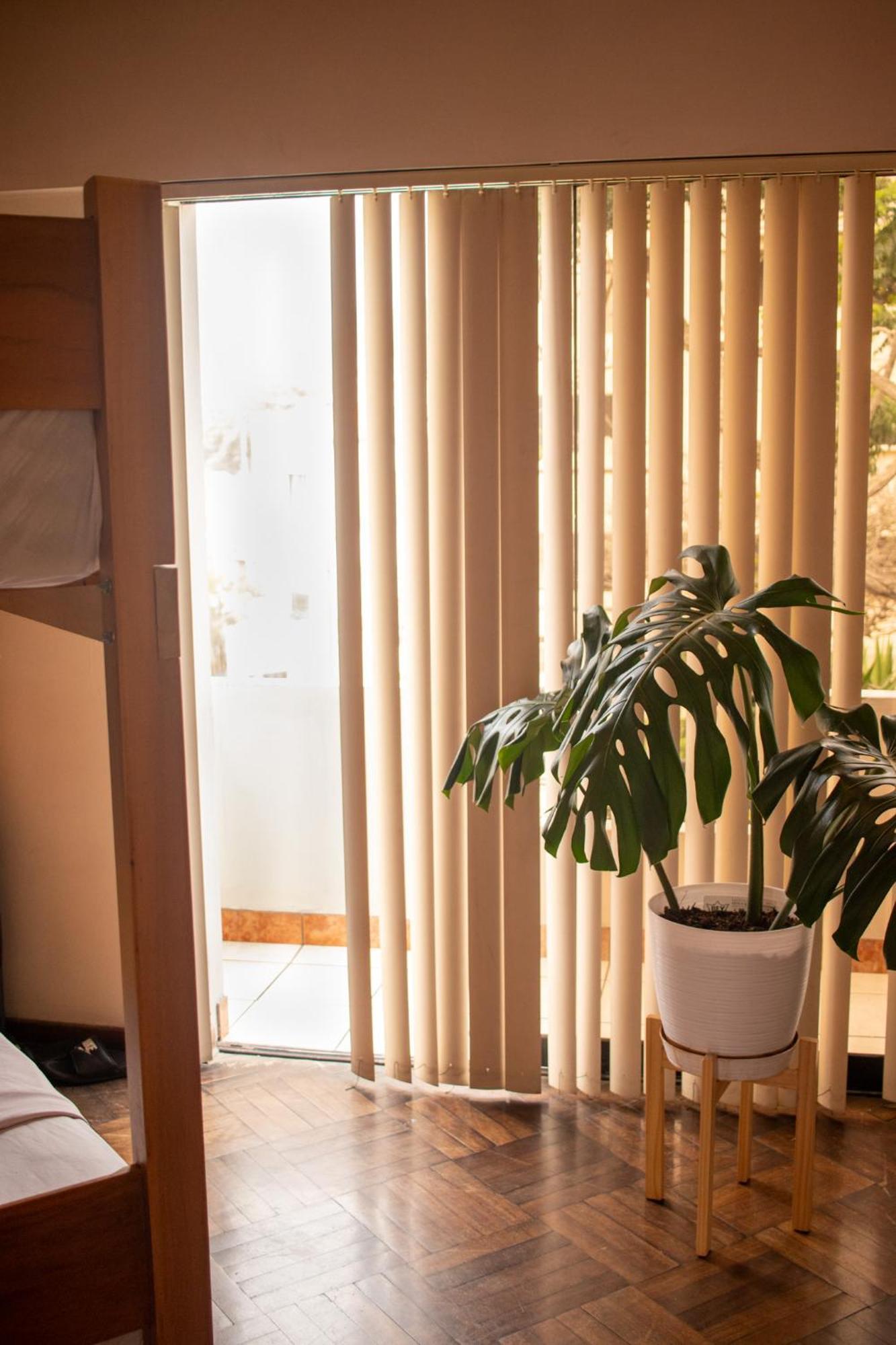 Temazcal Hostel 利马 外观 照片