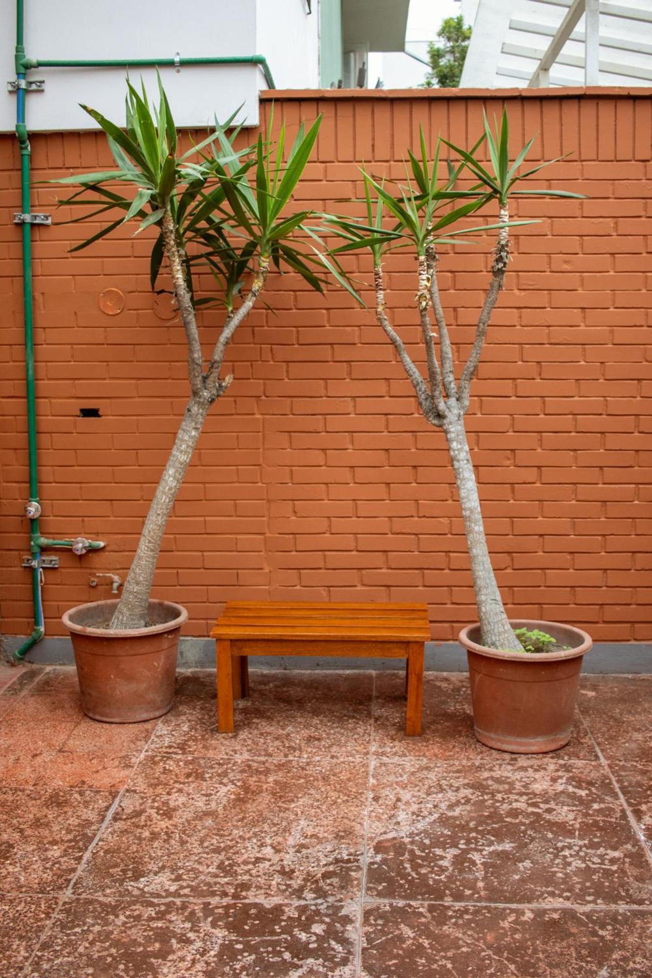Temazcal Hostel 利马 外观 照片