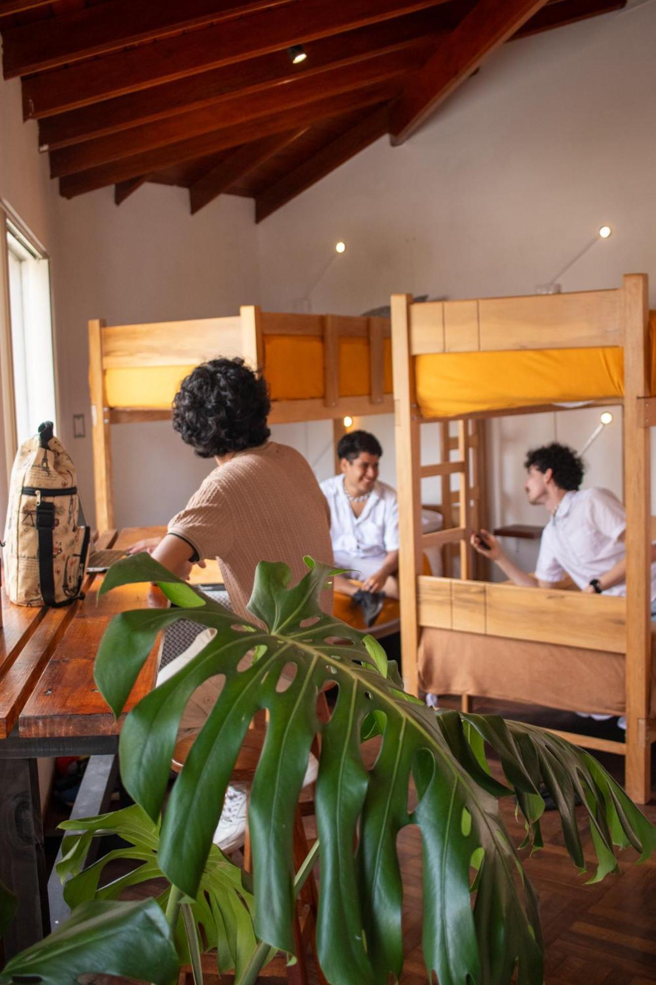 Temazcal Hostel 利马 外观 照片